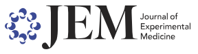 jem 2