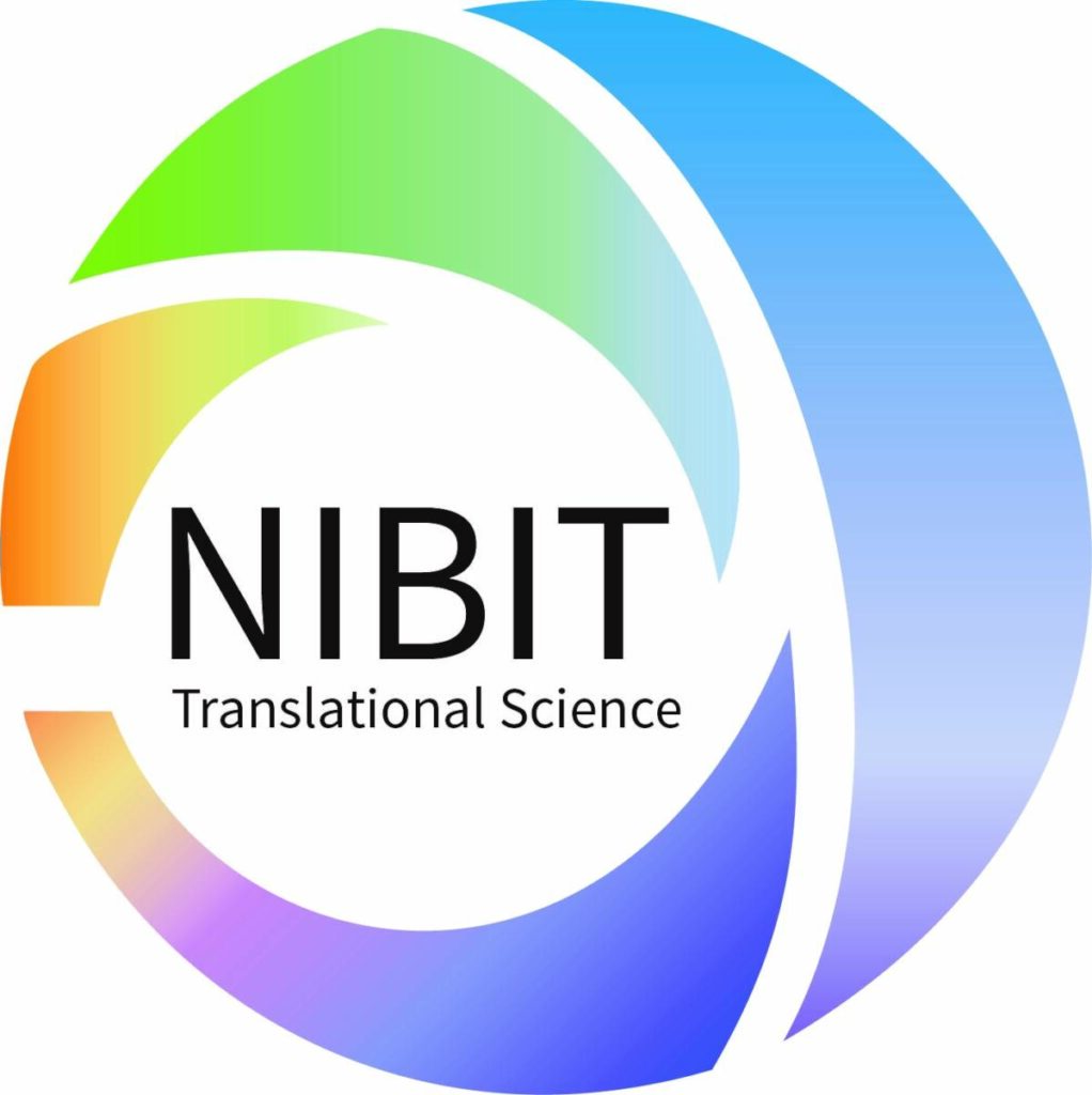 logo nibit def 